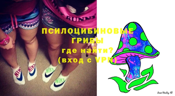 бошки Верея