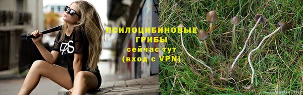 бошки Верхний Тагил