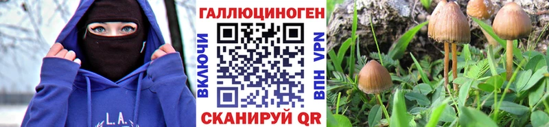 Галлюциногенные грибы GOLDEN TEACHER  Купить закладки  Майский 
